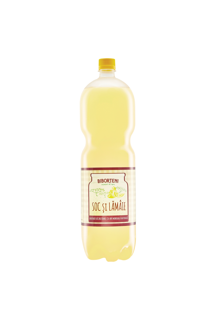 BIBORTENI Elderberry & Lemon Carbonated Soft Drink - 2L