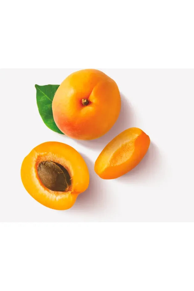 Balconi - TRANCETTO - APRICOT - Soft Sponge Cake 10pcs - 280g