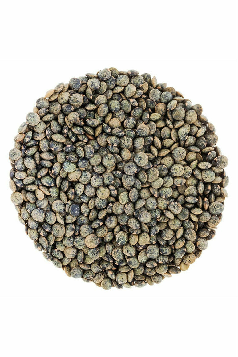 Green Lentils - French - 2lbs